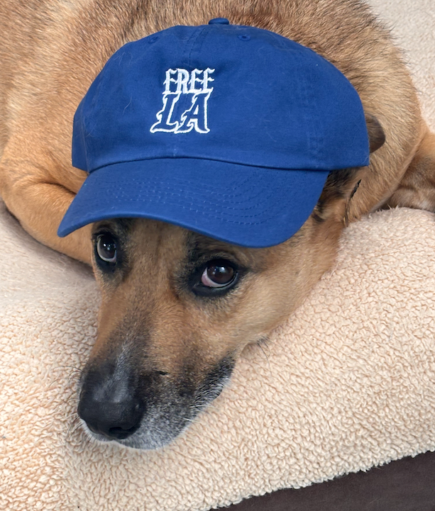 Blue Free L.A. "Dad Hat"