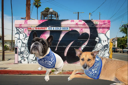 L.A. TACO Bandana